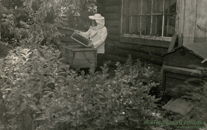 Иоанн Мельников, священник_24. Проверка пчелиных сот